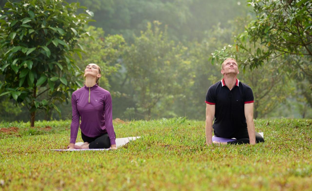 Tigris Valley Holistic Wellness Resort Vallikavungal Zewnętrze zdjęcie